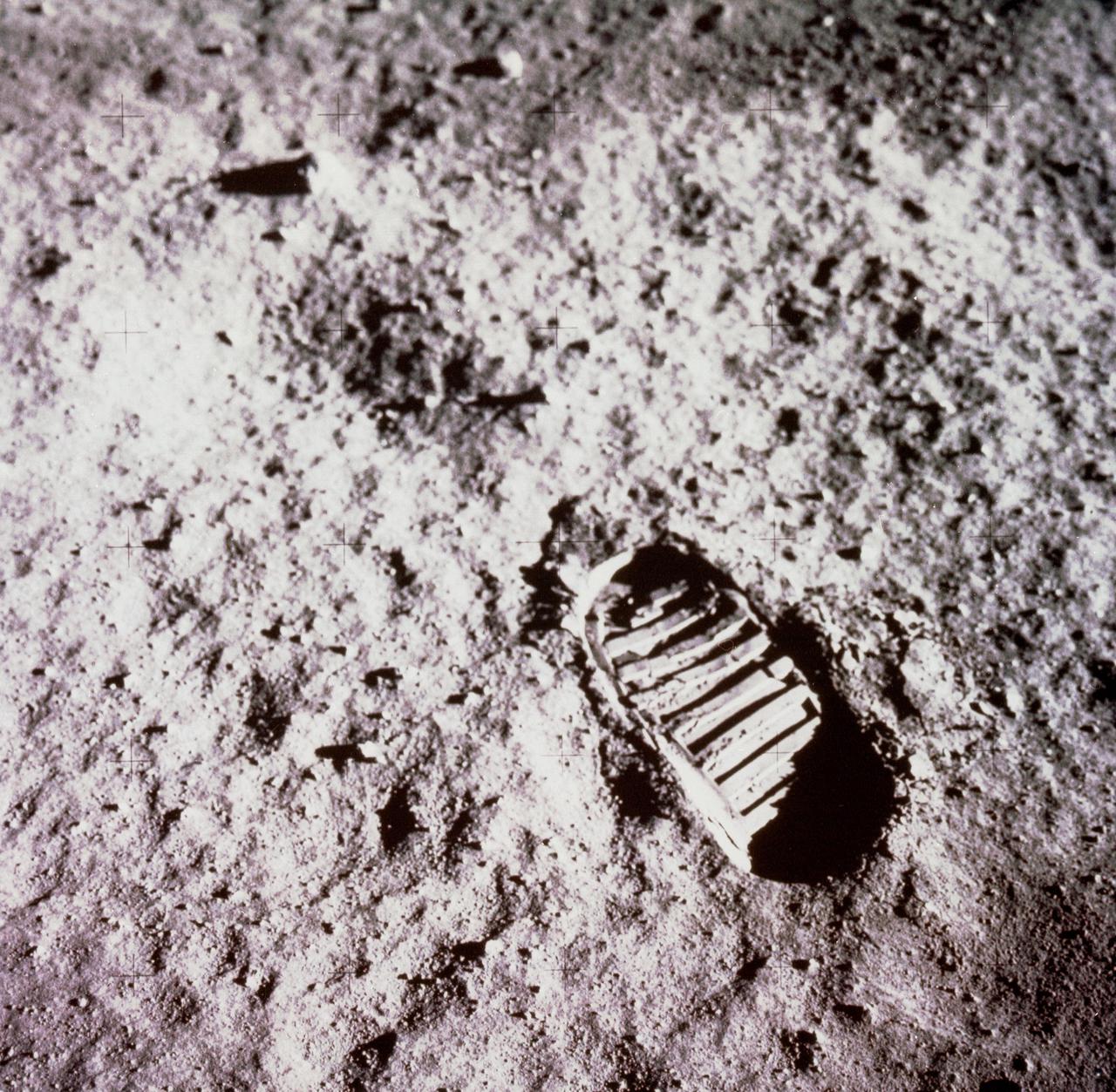 Mikrobielles Überleben in Apollo-Abfallbehältern auf dem Mond